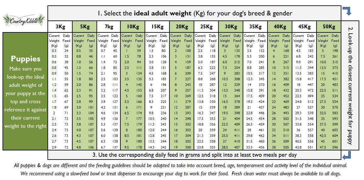 Dog Food What Should You Feed A Week Old Puppy Food Chart How Many